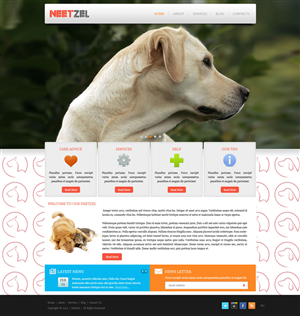 Web Design by pb for DJN Consulting | Design: #1503067
