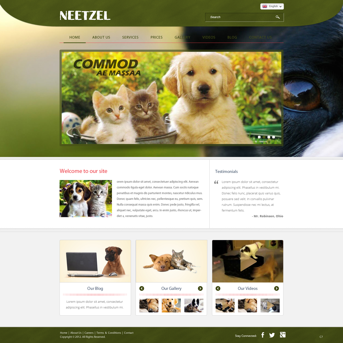Web Design by pb for DJN Consulting | Design #1503071