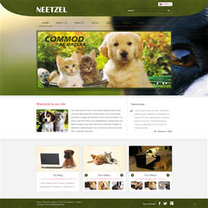 Web Design by pb for DJN Consulting | Design: #1503071