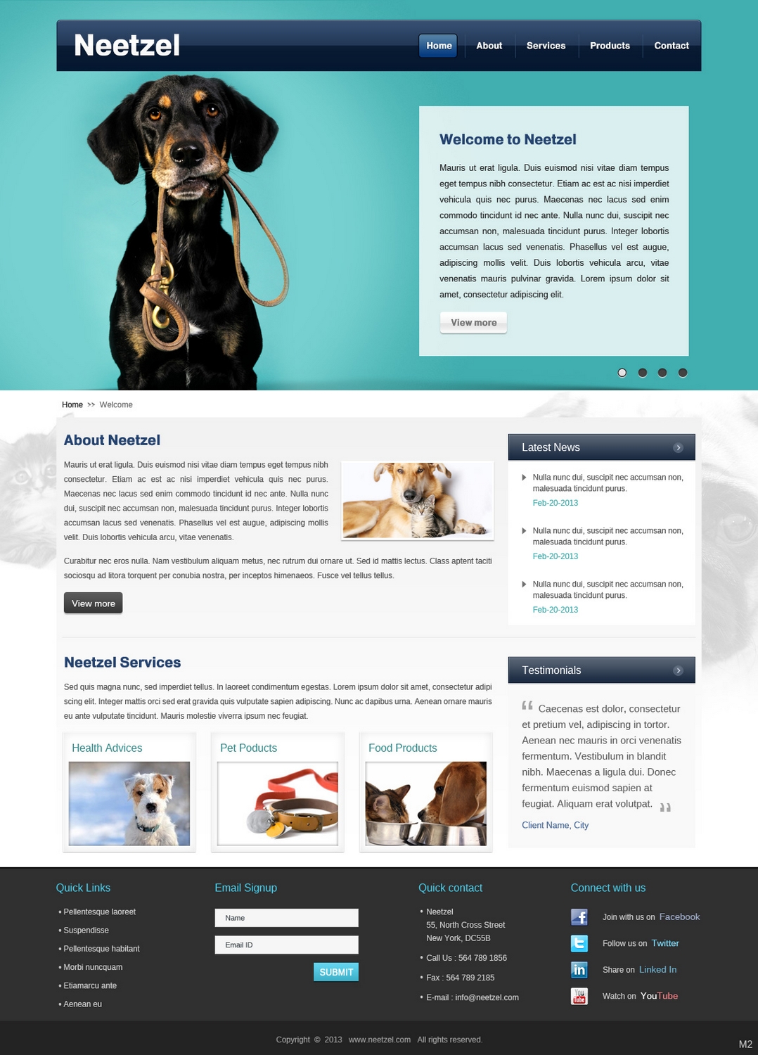 Web Design by pb for DJN Consulting | Design #1503075