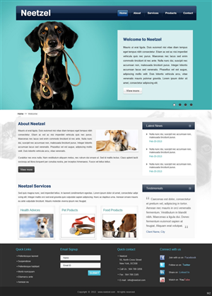 Web Design by pb for DJN Consulting | Design: #1503075