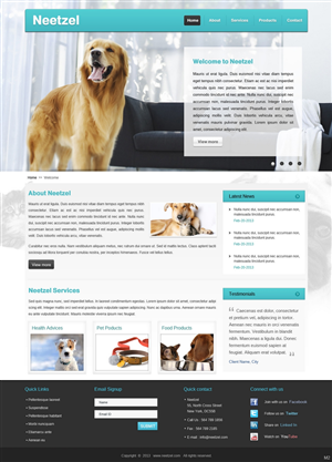 Web Design by pb for DJN Consulting | Design: #1503079