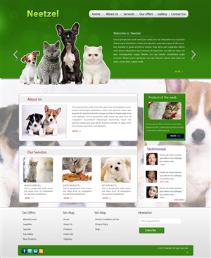 Web Design by pb for DJN Consulting | Design: #1510384