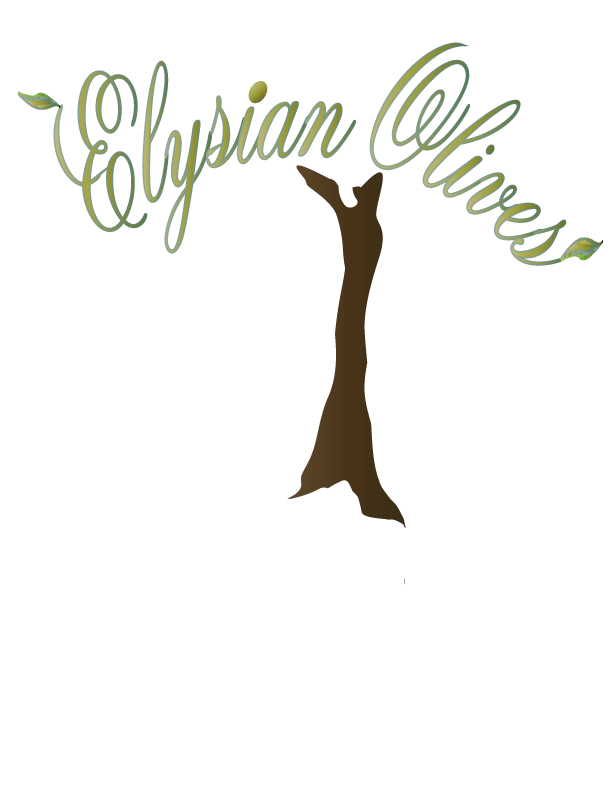 Logo Design by zedxela for Eccentric soaps | Design #5441910