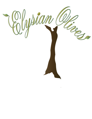 Logo Design by zedxela