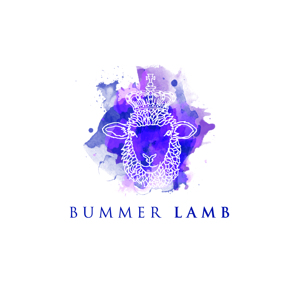Logo Design by Irina Makedonska for Bummer Lamb Design | Design #5465371