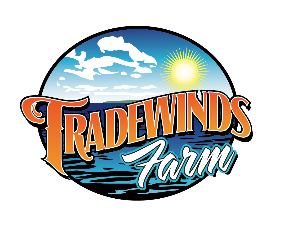 Design Graphique par dbdesignsolutions pour ce projet | Design #5414599