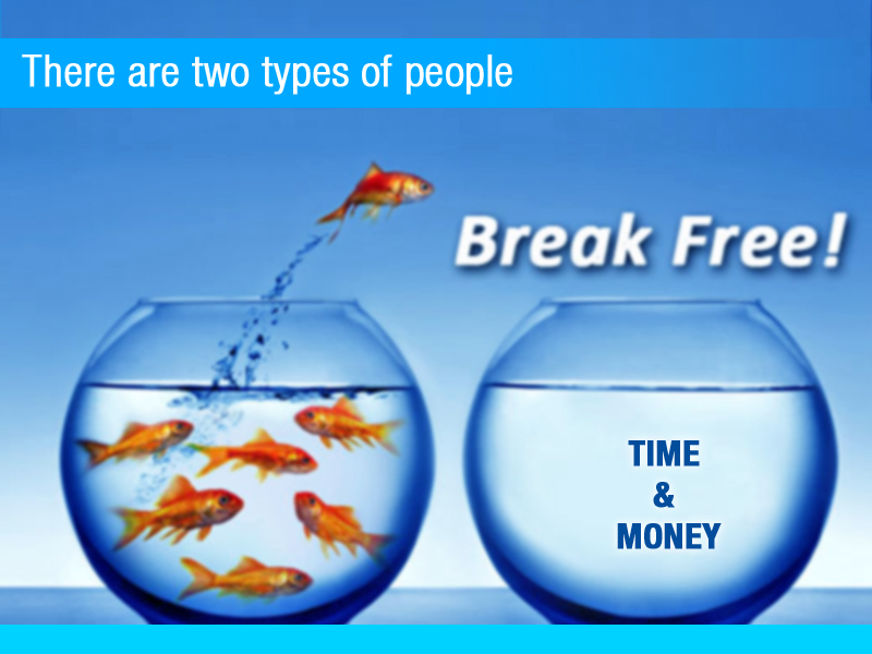 PowerPoint Design by Best Design Hub for Mobilise Solutions | Design #5446489