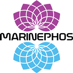 Logo Design by elev8.net.au