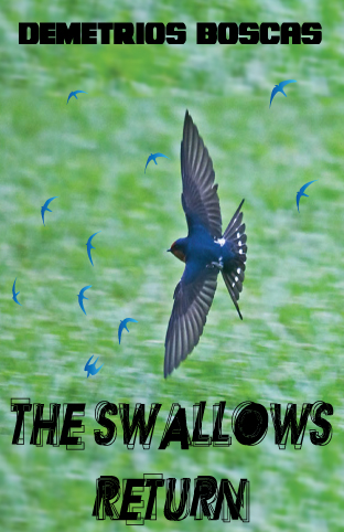 Book Cover Design by Nishu Raina for this project | Design #278204