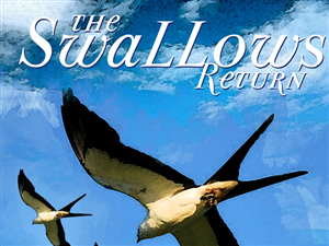 Book Cover Design by Design by Belinda Gillies for this project | Design: #290314