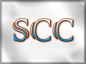 Logo Design by VizKill