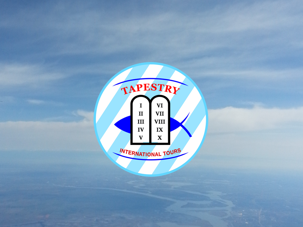 Logo Design by DoveFendi for OWG International | Design #1512727