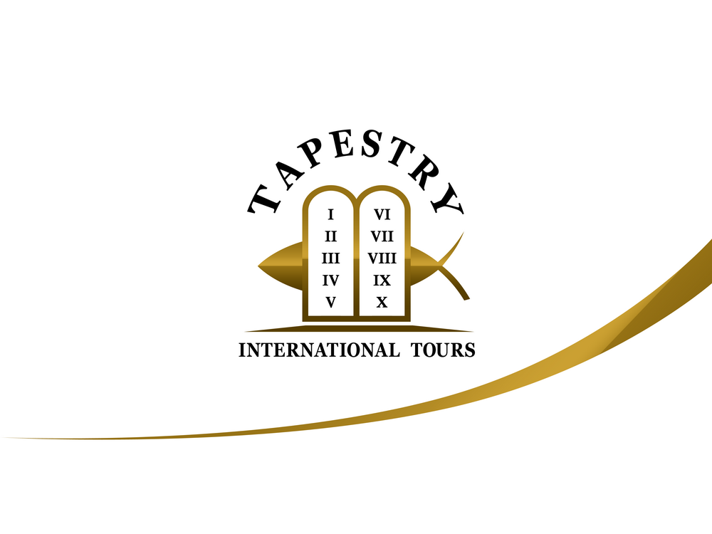 Logo Design by DoveFendi for OWG International | Design #1546219
