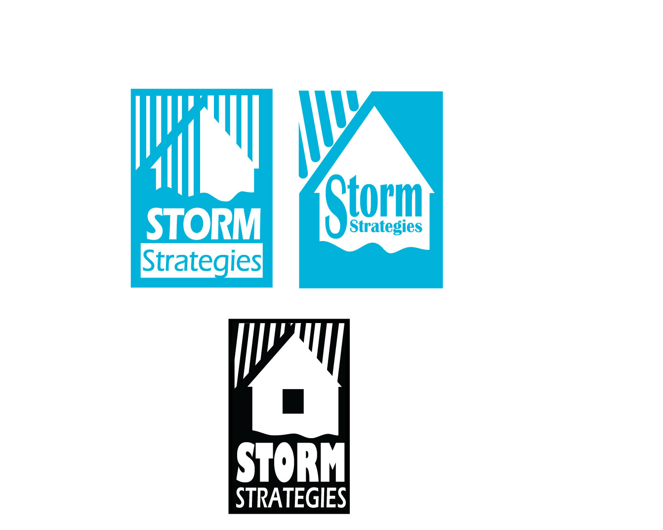 Logo Design by Quito0 for Storm Strategies LLC | Design #5442775