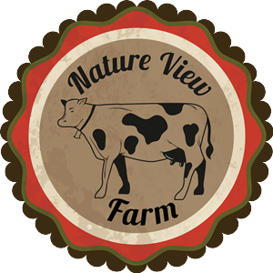 Design Image