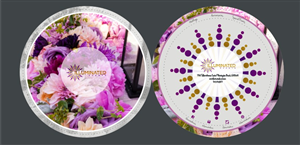 Brochure Design by hema dhawan