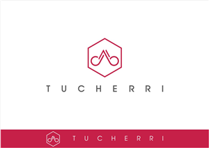 Logo Design by Matei Sergiu