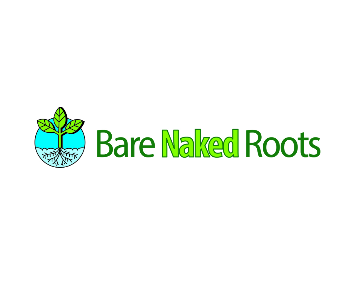 Logo Design by Hot Rod for this project | Design #5441671