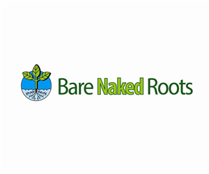 Logo Design by Hot Rod