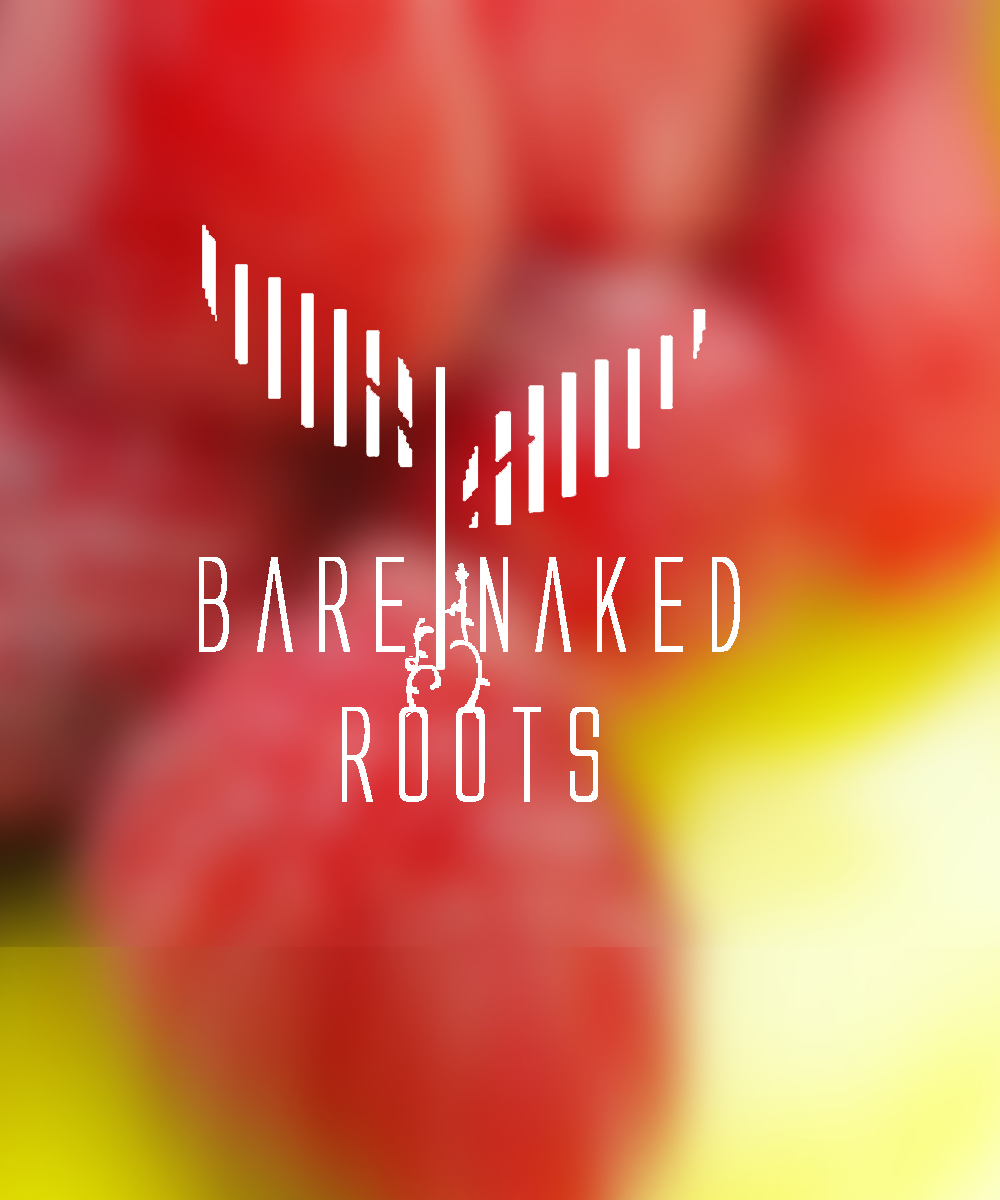 Logo Design by Miram for this project | Design #5435550