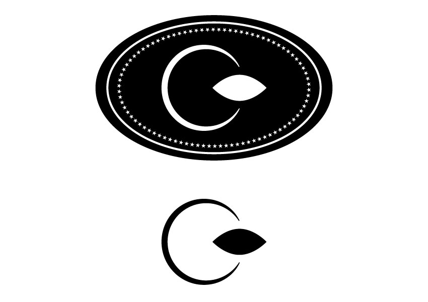 Logo Design by beststarts for this project | Design #5532391