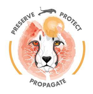 T-shirt Design by Tatjana R.