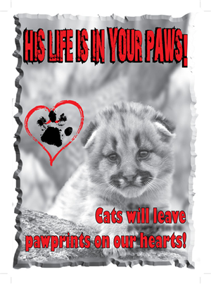 T-shirt Design by fourdog123 for this project | Design: #5451575