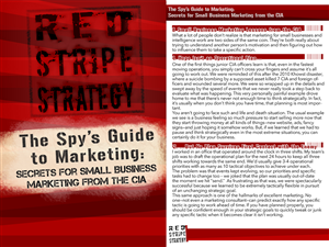 Brochure Design by SamMcado for Red Stripe Strategy | Design #5462816