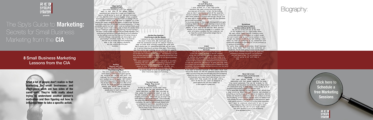 Brochure Design by Lego83 for Red Stripe Strategy | Design #5443945