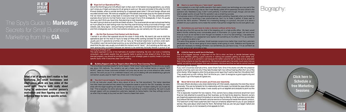 Brochure Design by Lego83 for Red Stripe Strategy | Design #5446323