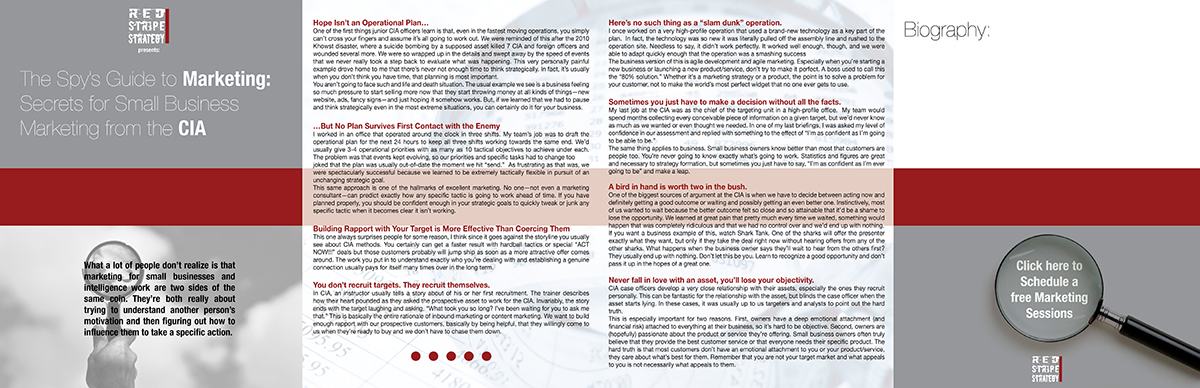 Brochure Design by Lego83 for Red Stripe Strategy | Design #5446482