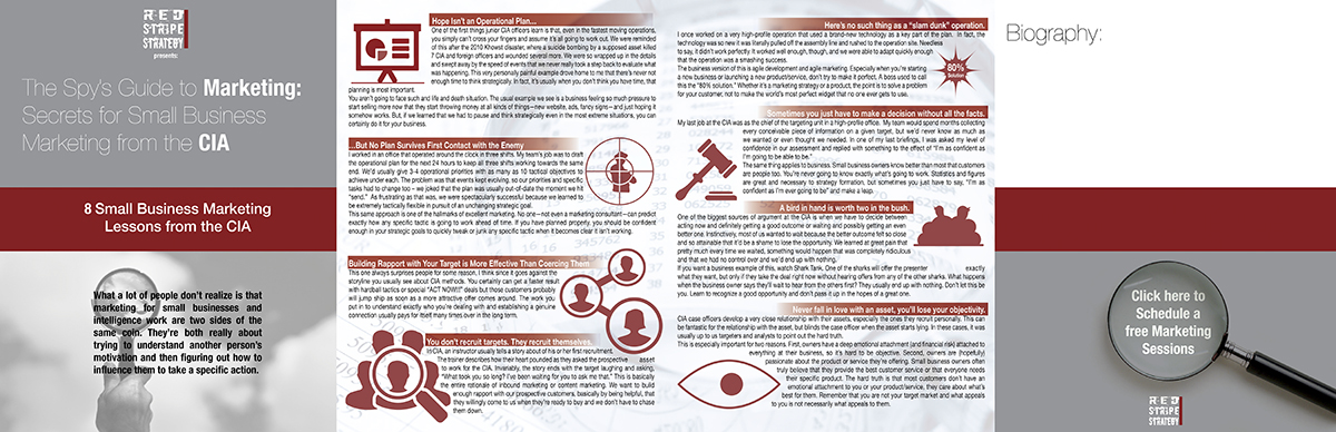 Brochure Design by Lego83 for Red Stripe Strategy | Design #5453753