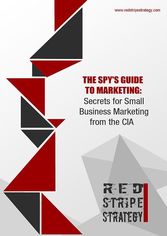 Brochure Design by SD Web Creation for Red Stripe Strategy | Design: #5460101