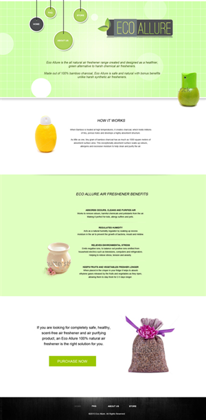 Web Design by KS Designs