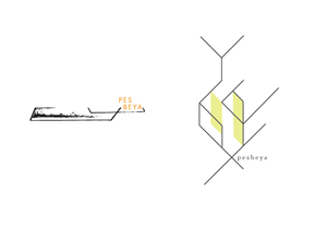 Logo Design by Androik