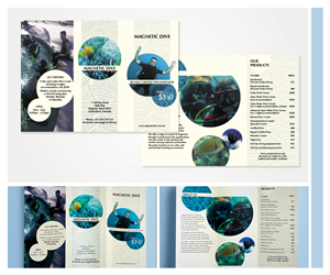 Diseño de Brochure por Phoenix Dragon para este proyecto | Diseño #5445782