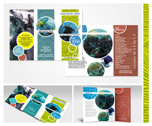 Diseño de Brochure por Phoenix Dragon para este proyecto | Diseño: #5454111