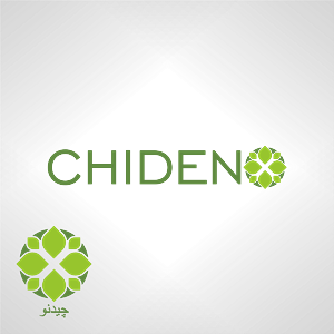 Logo Design by hanilatif0 for Atlas Ideno System LLC | Design: #5467014