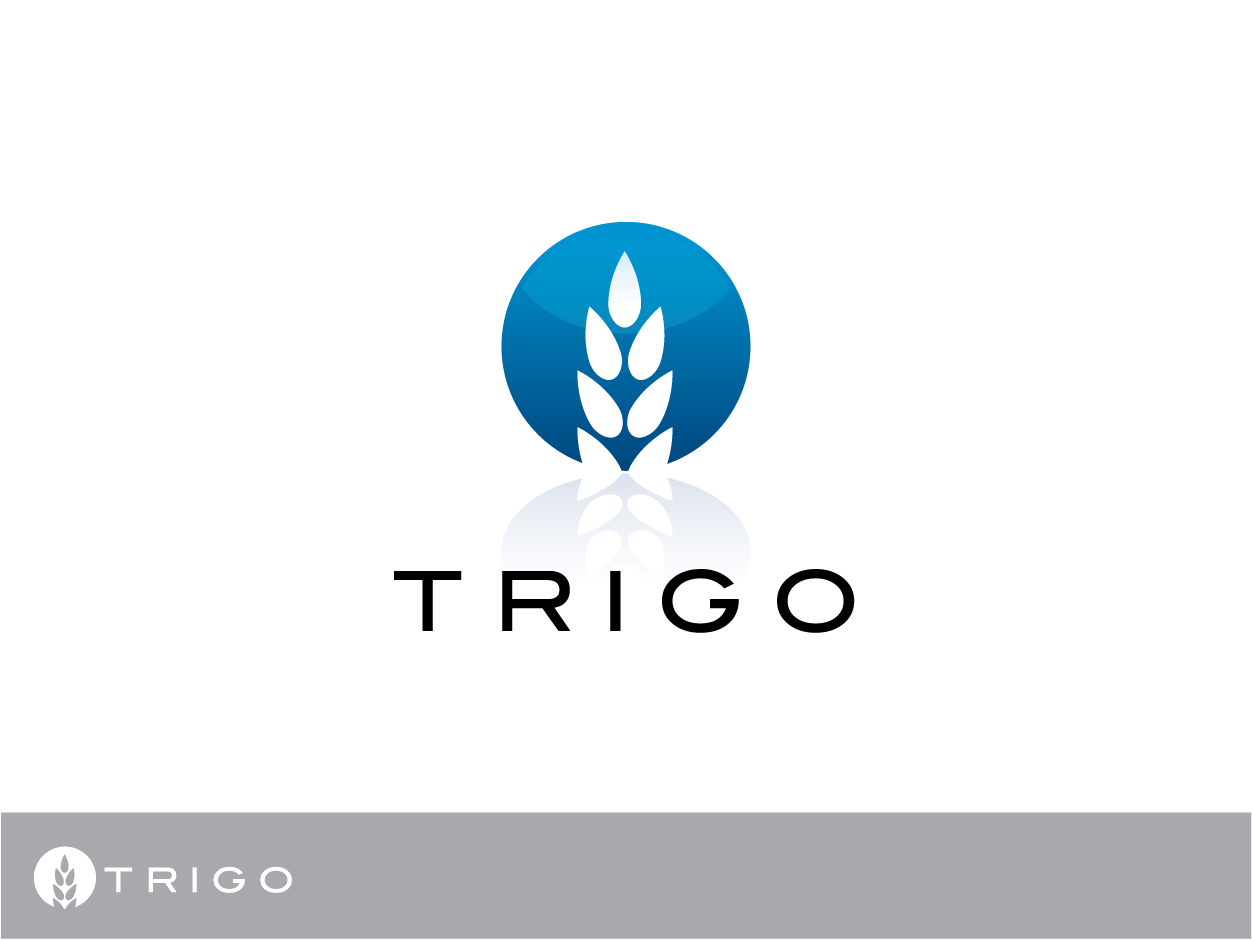 Diseño de Logo por bluejet para este proyecto | Diseño #281575