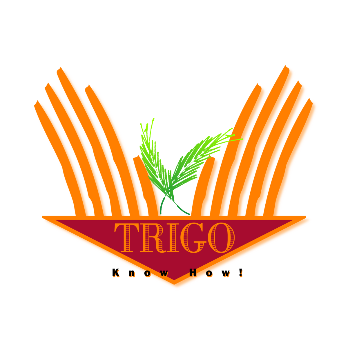 Diseño de Logo por iDesign para este proyecto | Diseño #278927