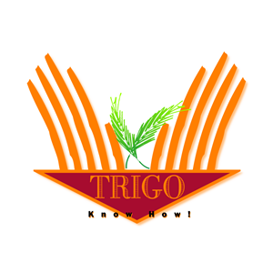 Diseño de Logo por iDesign para este proyecto | Diseño: #278927