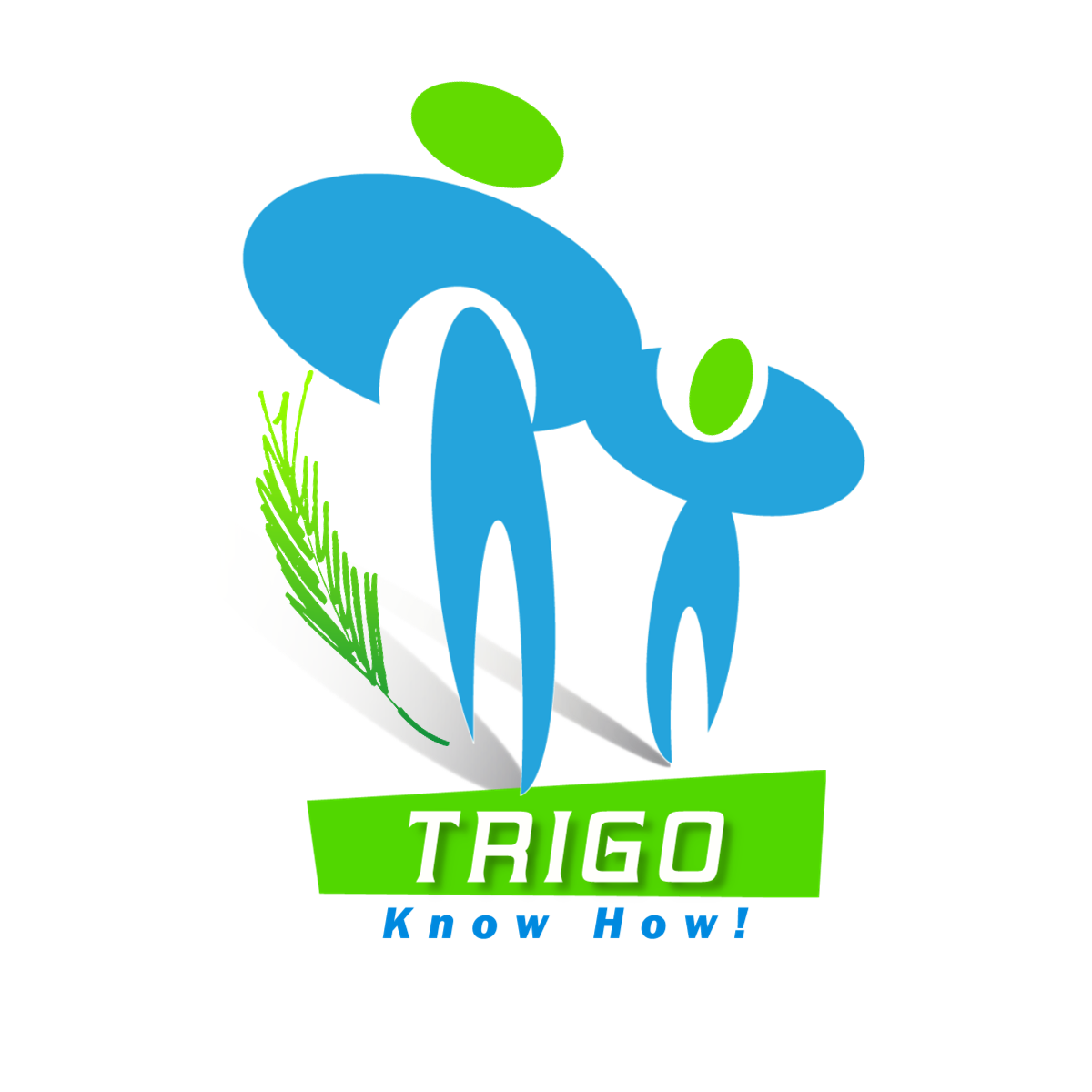 Diseño de Logo por iDesign para este proyecto | Diseño #278935