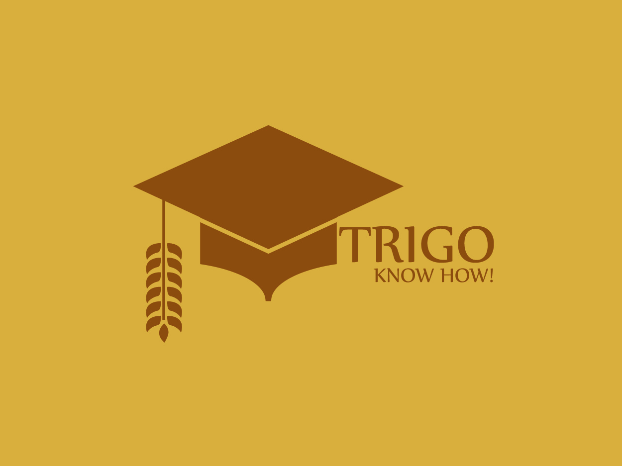 Logo Design by MemoCo for this project | Design: #279591