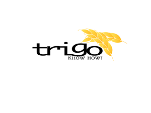 Logo Design by Abeism