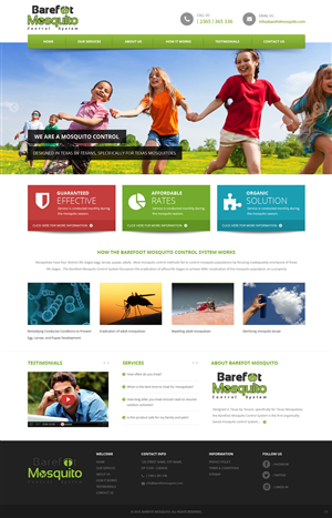 Diseño Web por pb para este proyecto | Diseño: #5459737