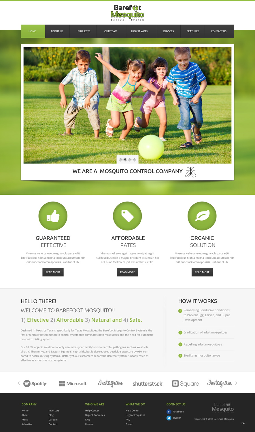 Diseño Web por pb para este proyecto | Diseño #5459743
