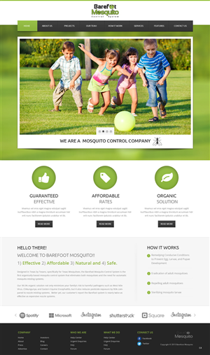 Diseño Web por pb para este proyecto | Diseño: #5459743