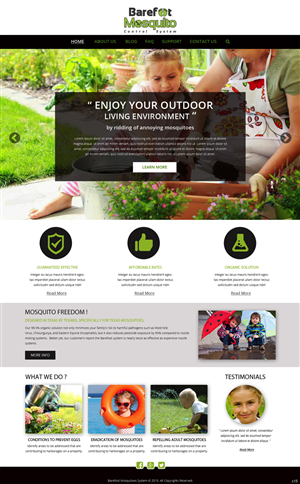 Diseño Web por pb para este proyecto | Diseño: #5459755