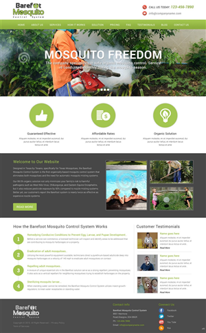 Diseño Web por pb para este proyecto | Diseño: #5469559